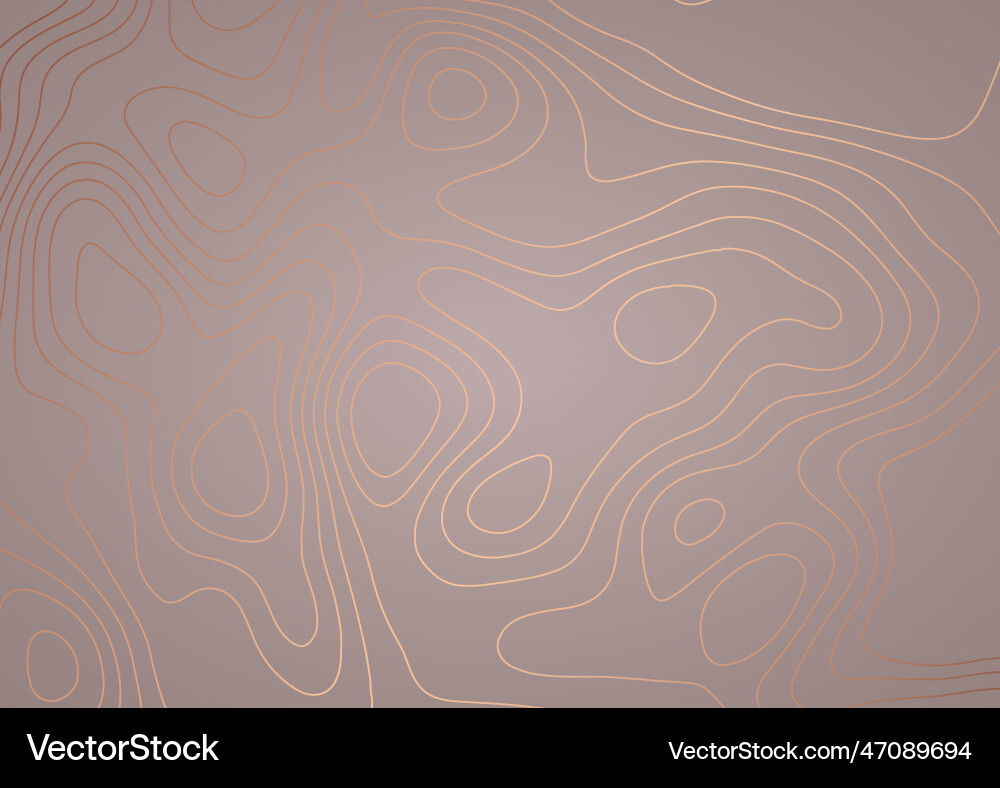 Abstract topography style background Vector Image