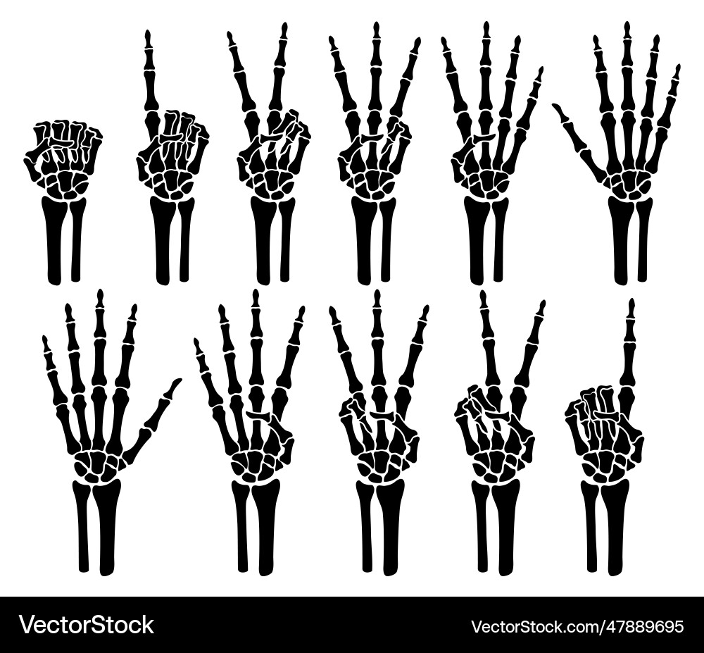 Skelett Knochen Hand Zählen Anzahl der Finger Zeichen Skelett Knochen Hand Zählen Anzahl der Finger Zeichen vektorbild