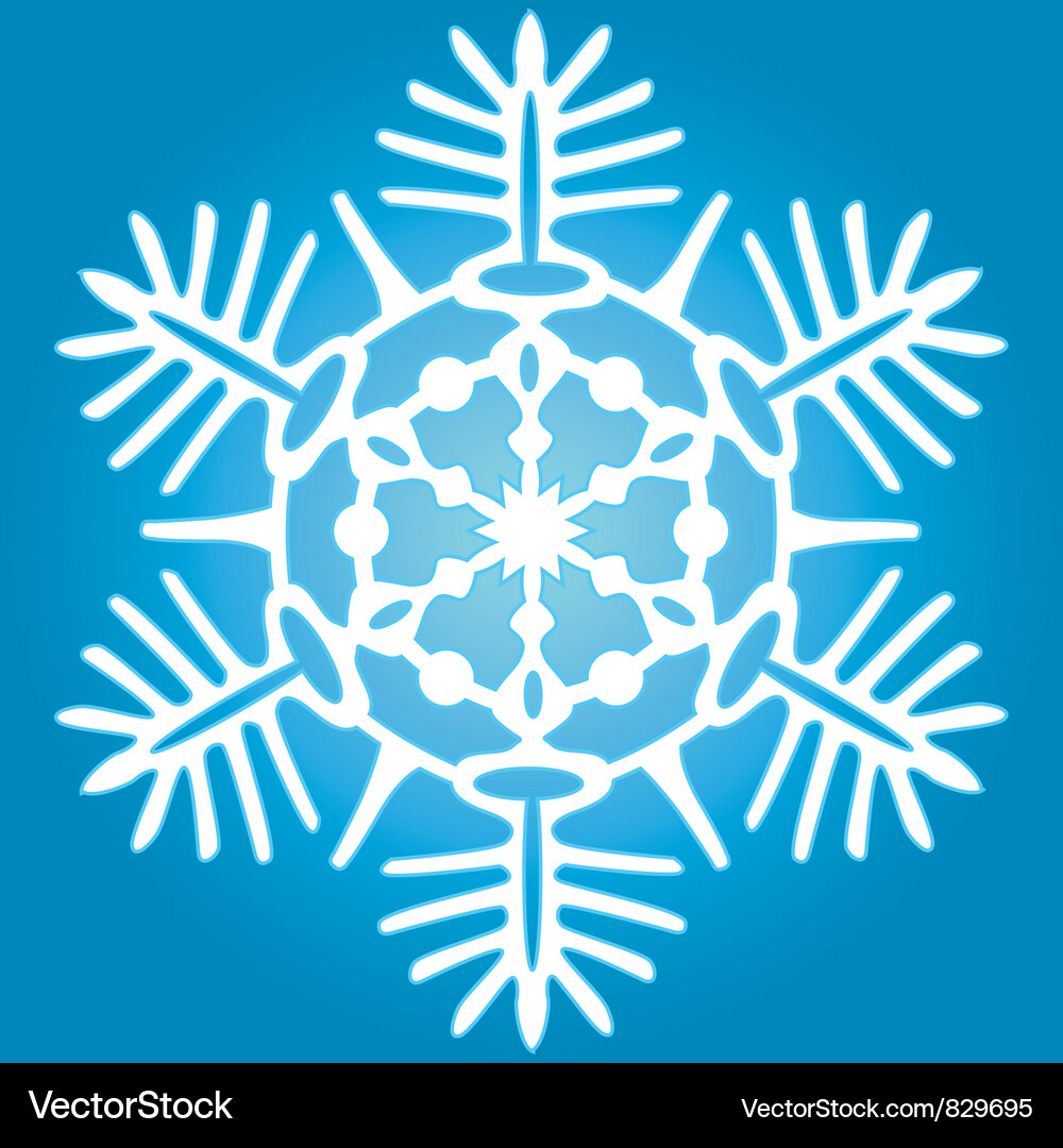 Snowflake Vector Image