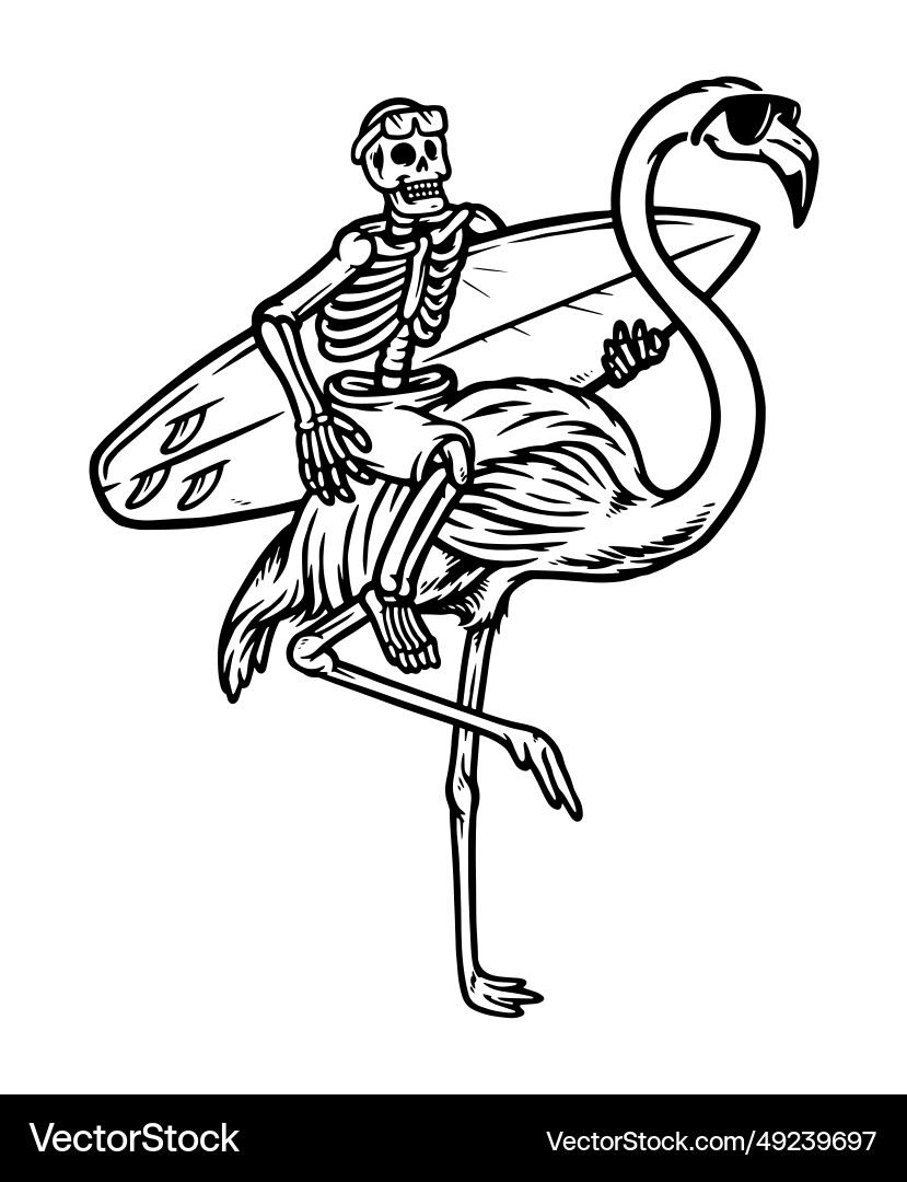 Skull and flamingo get ready to surf Skull and flamingo get ready to surf Vector Image