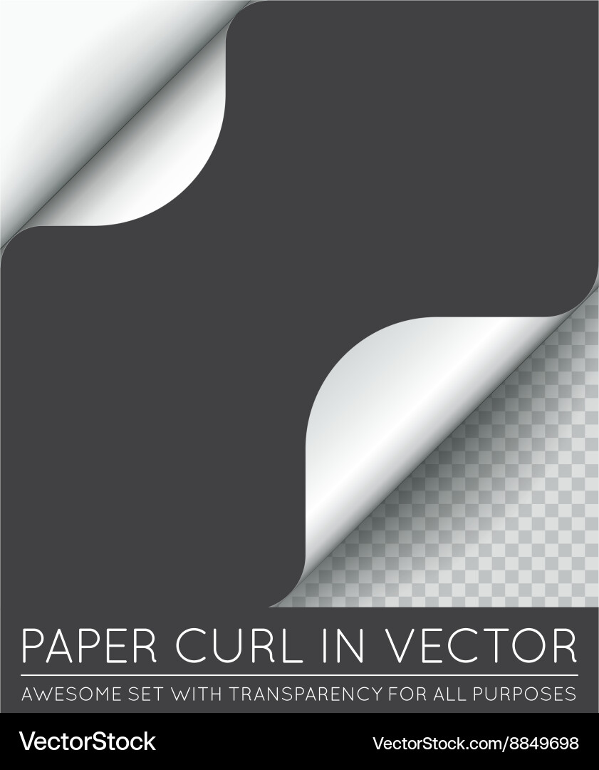 Paper Page Curl with Shadow vector image
