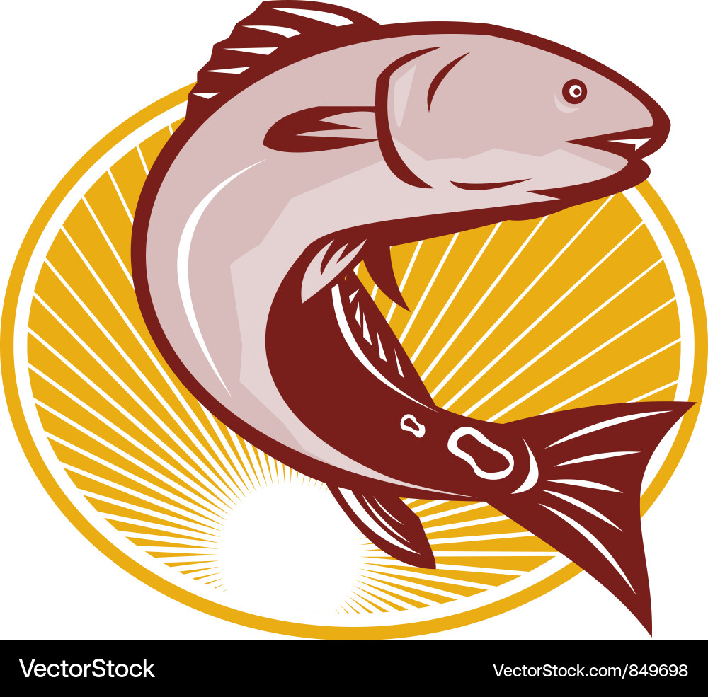 Red Drum Tail Fish Retro Art vector image