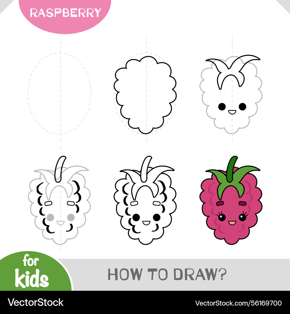 How to draw raspberry for children step vector image