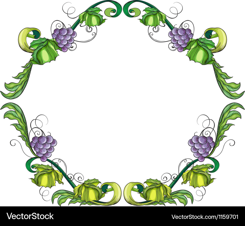 Elegant Grape Vine Border vector image