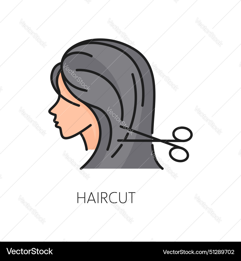 Hair care and treatment thin line color icon vector image