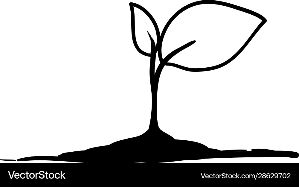 Seedling with handdrawn doodle cartoon style Seedling with handdrawn doodle cartoon style vector image