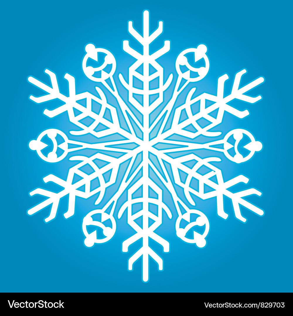 Snowflake Silhouette Vector Image