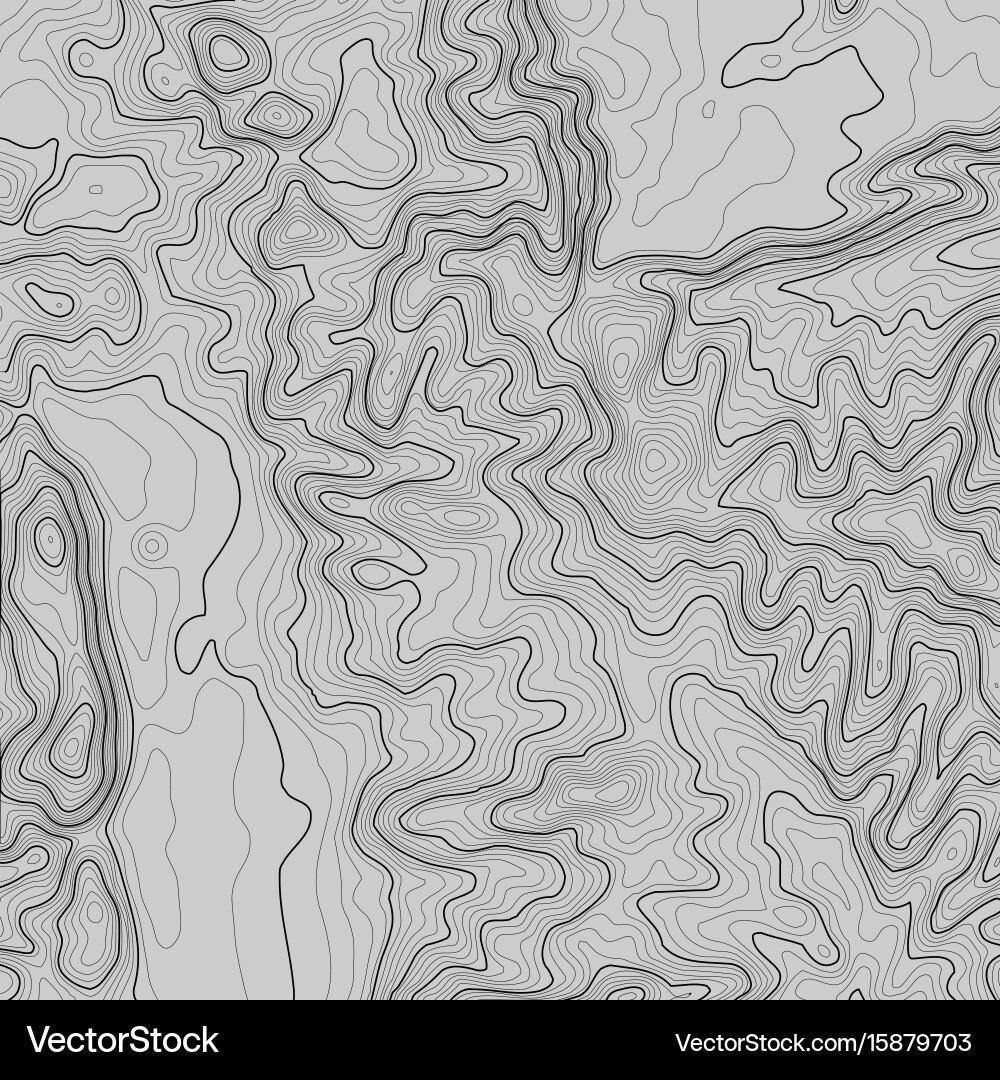 Topographic map background with space for copy vector image