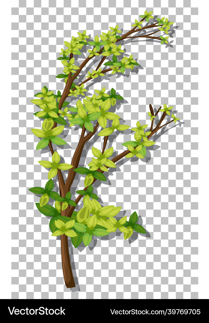 Tree on transparent background Vector Image