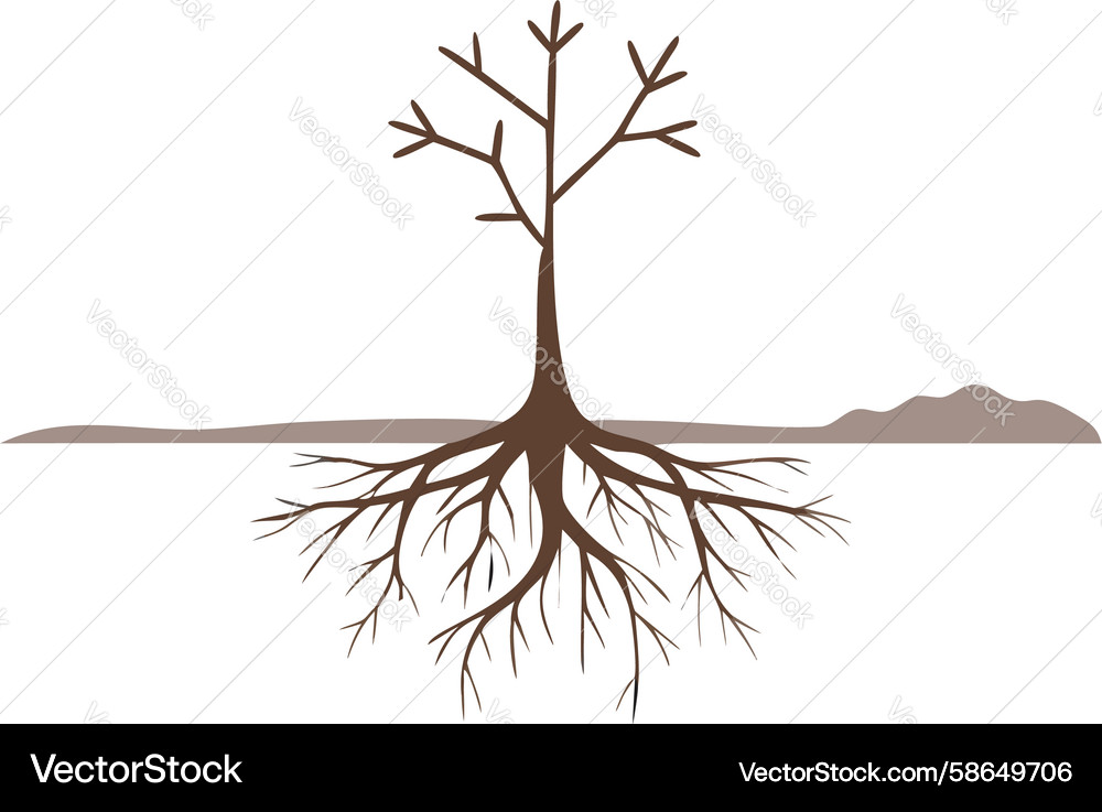 Bare tree trunk with visible roots icon design Vector Image