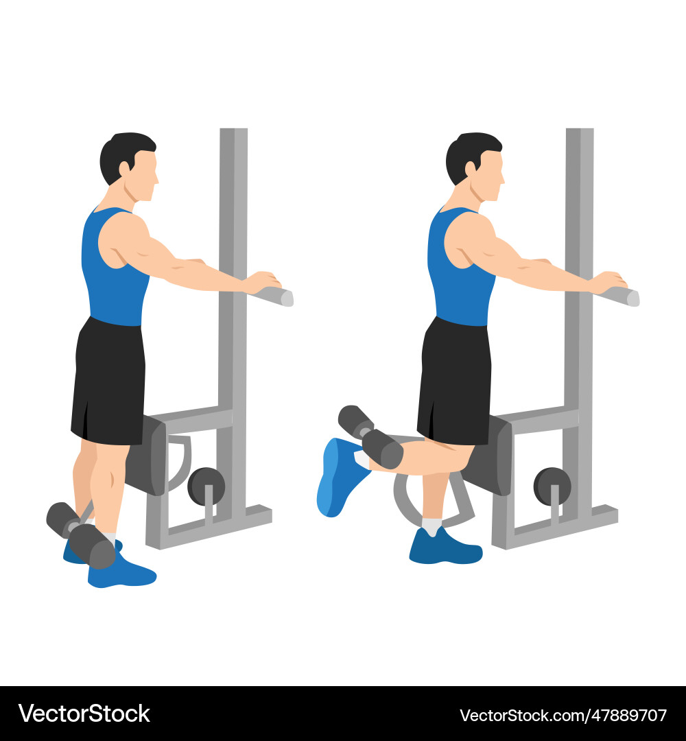Man doing standing leg hamstring curls machine vector image