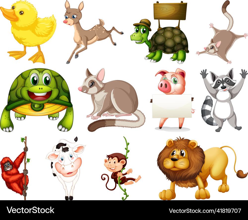 Set of animal cartoon character Set of animal cartoon character vector image