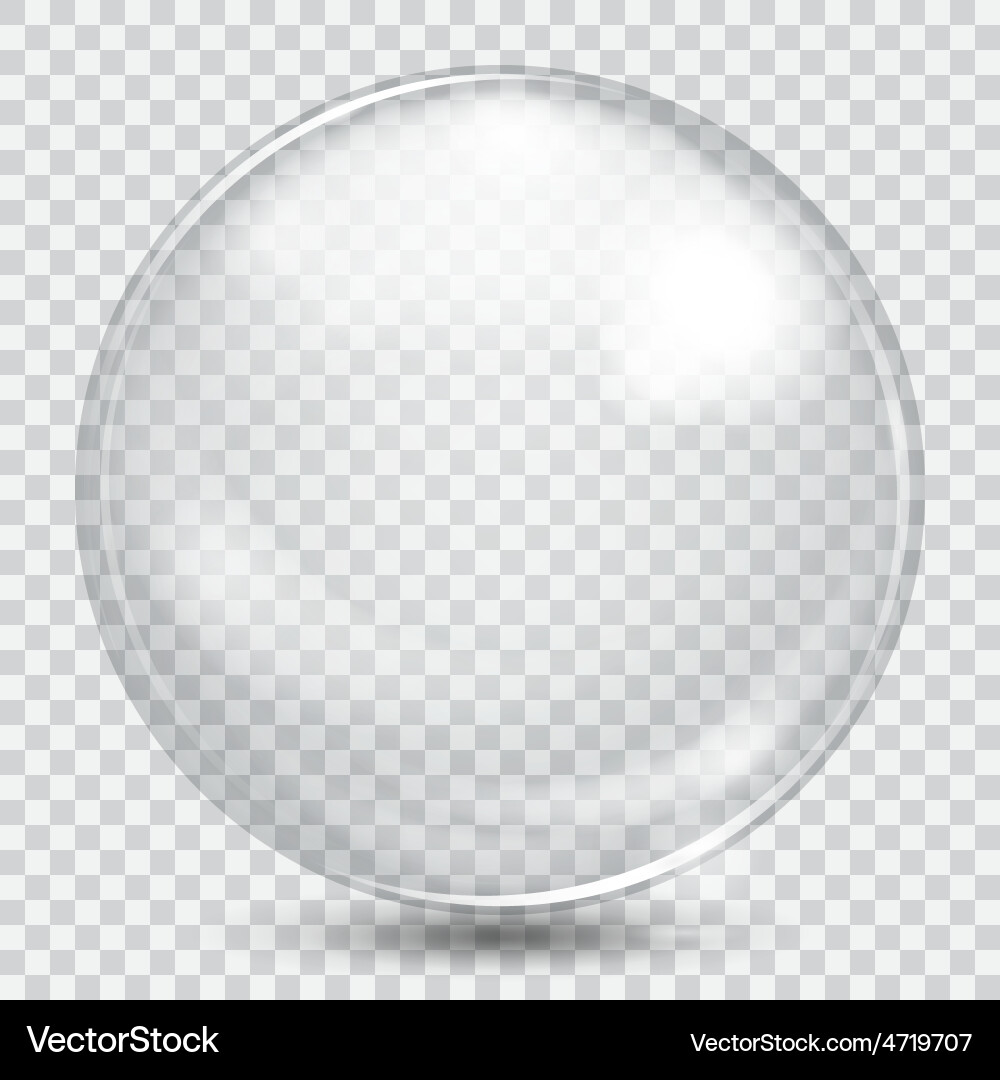 White Transparent Sphere with Reflection vector image