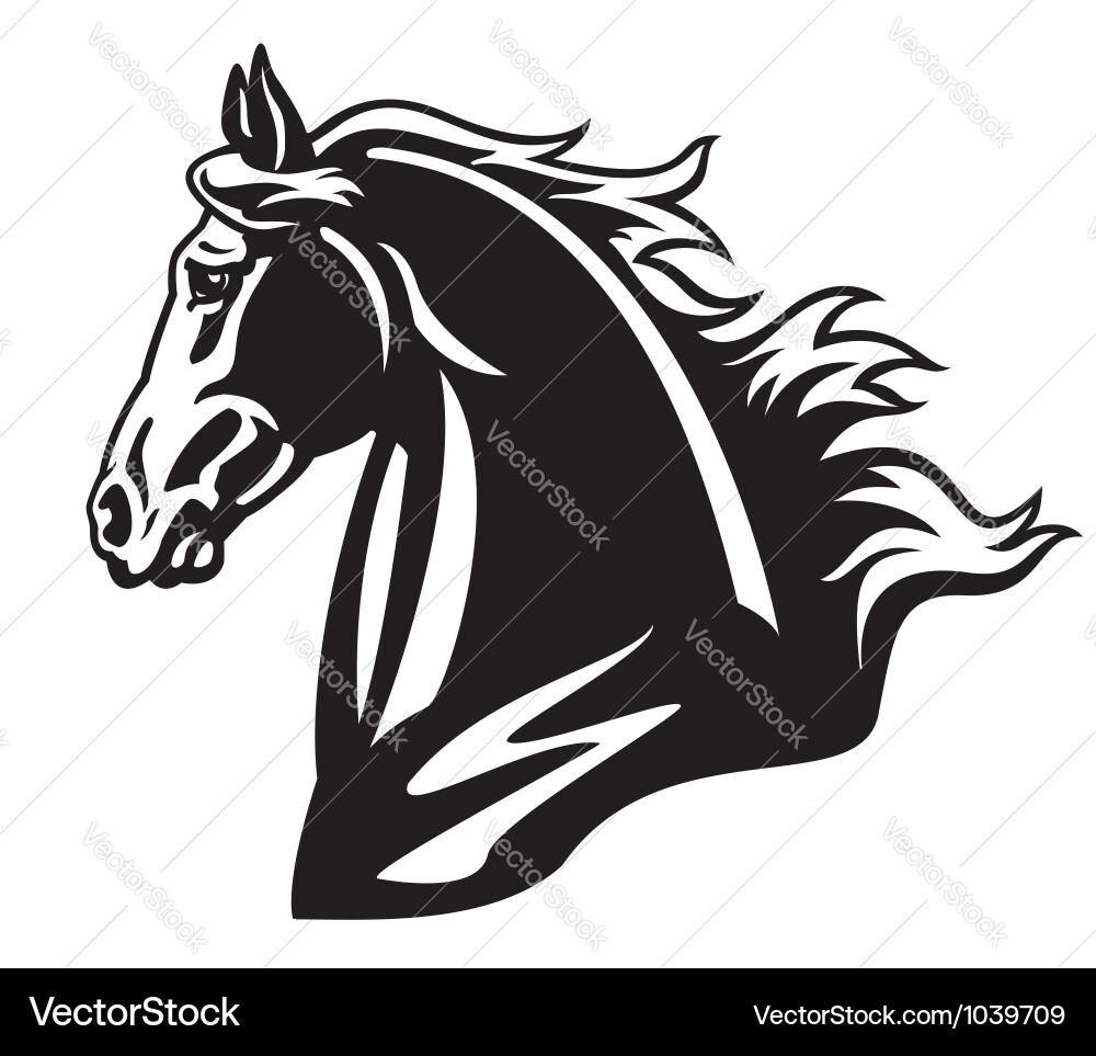 Black and White Horse Head Vector Image