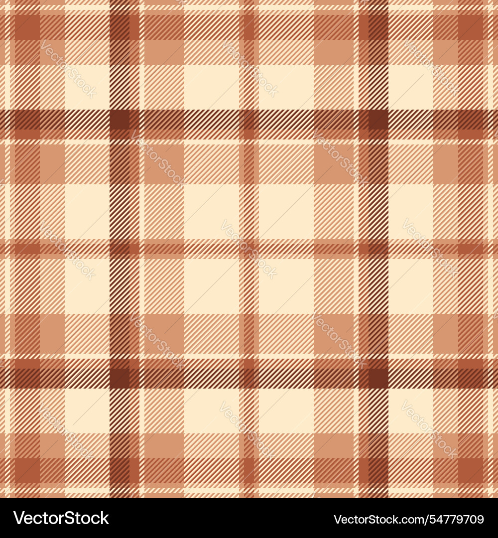 Installing plaid texture fabric primary pattern vector image