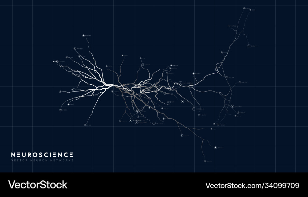 Neural Network Structure vector image