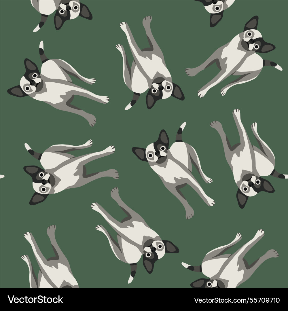 A chihuahua pattern A chihuahua pattern vector image
