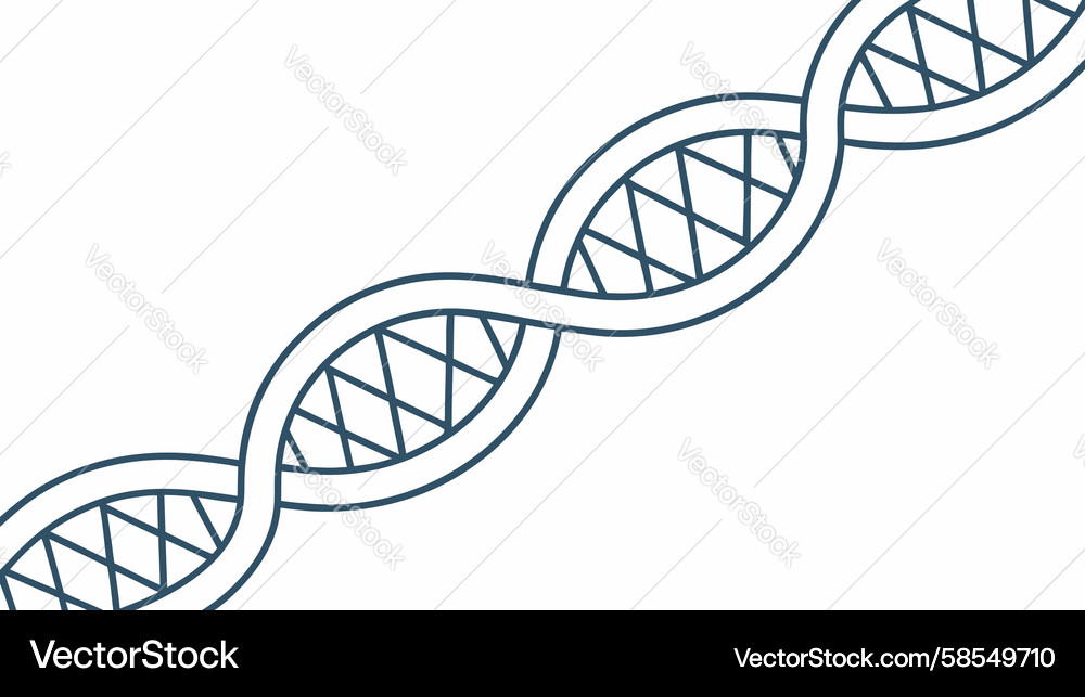 Dynamic DNA Helix Pattern Vector Image