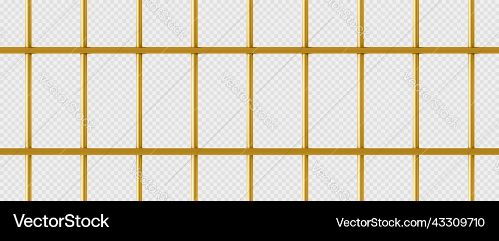Gold cage jail with golden metal bars birdcage Gold cage jail with golden metal bars birdcage vector image