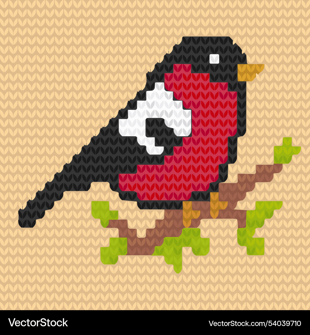Knitted pattern with a bullfinchthe bird Vector Image
