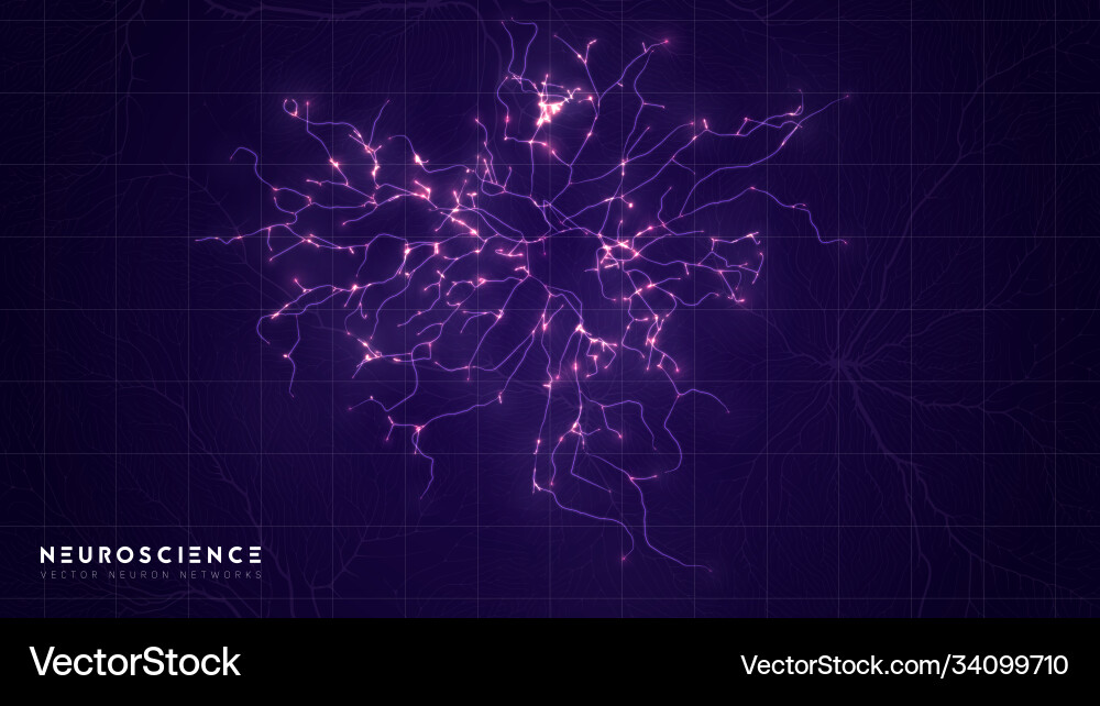 Neuron system complex model neural net structure Neuron system complex model neural net structure vector image
