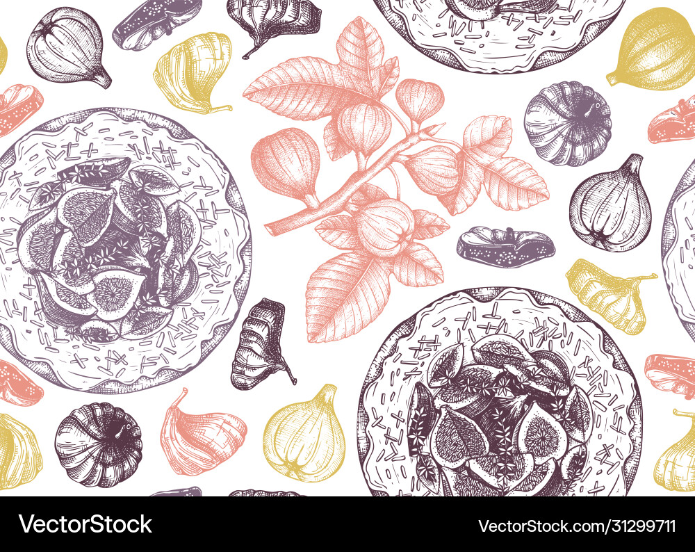Backdrop with hand drawn fig fruit seamless Backdrop with hand drawn fig fruit seamless vector image