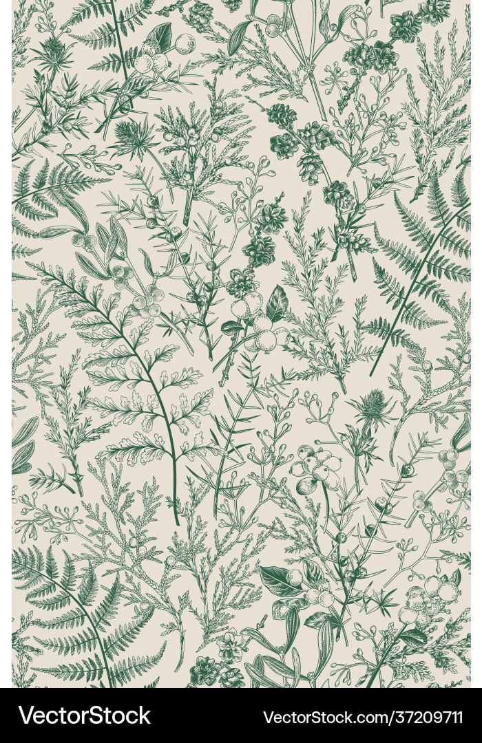 Botanical seamless hand-drawn pattern Botanical seamless hand-drawn pattern vector image