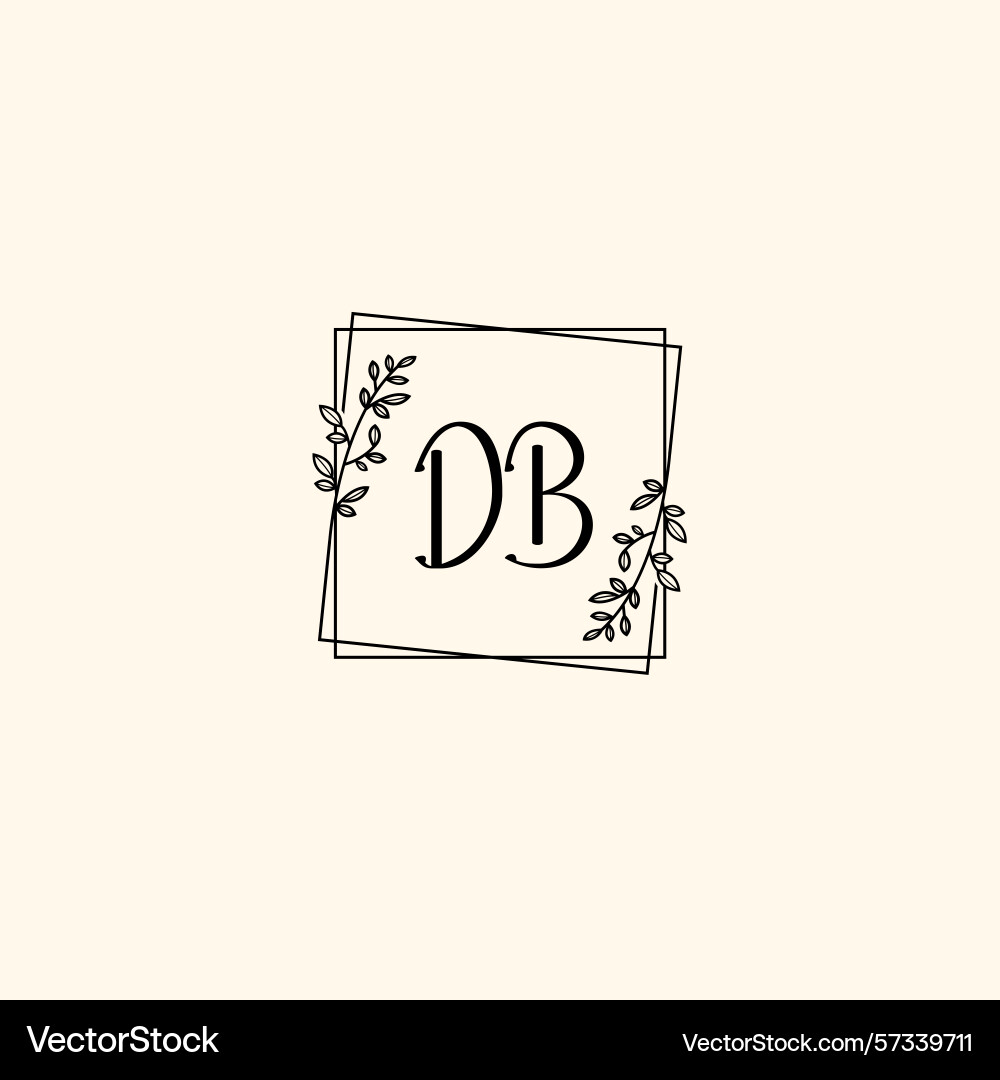 Classic floral monogram db with elegant frame Classic floral monogram db with elegant frame vector image