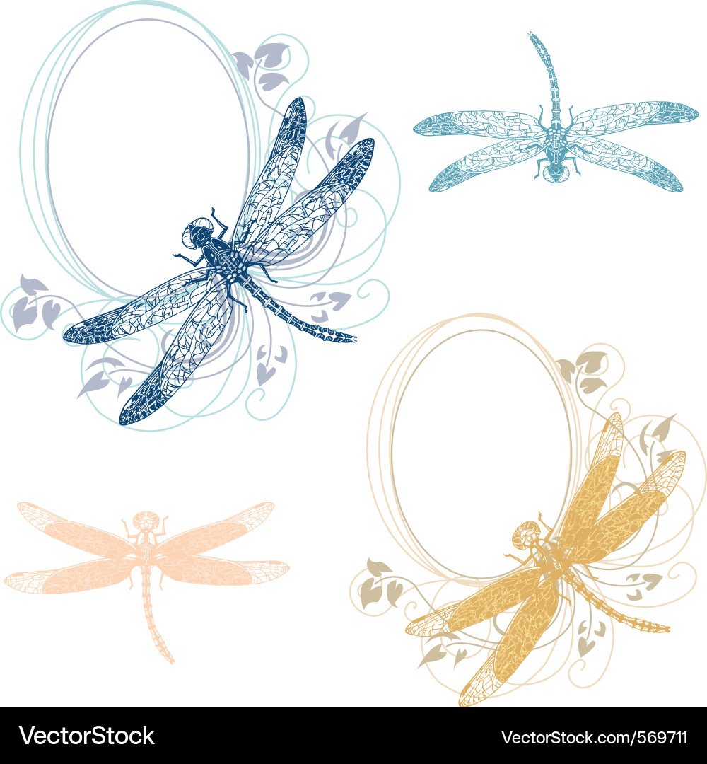 Pastel Dragonfly Vignettes Vector Image