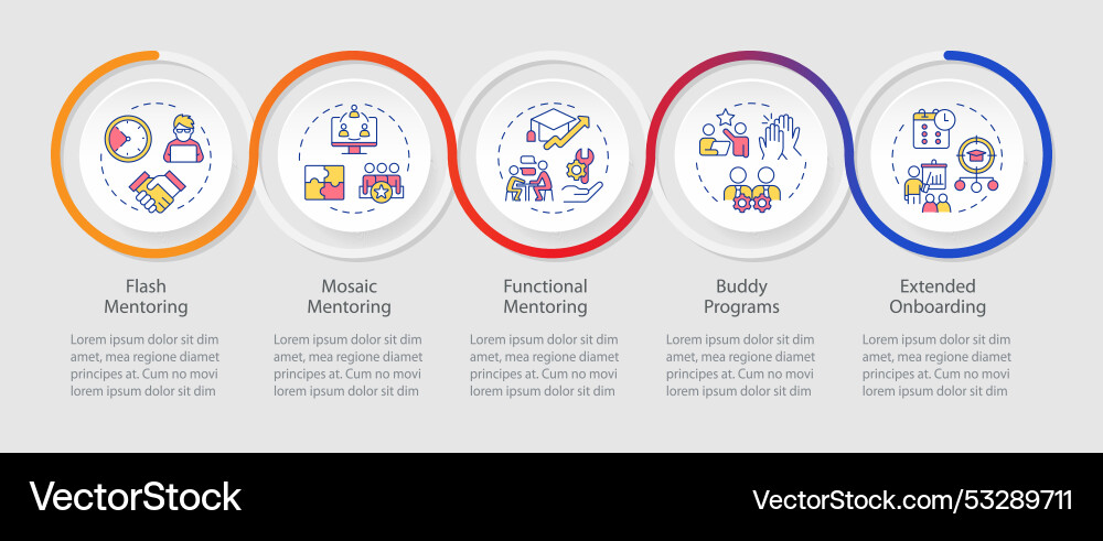 Types of mentor support loop infographic template Types of mentor support loop infographic template vector image