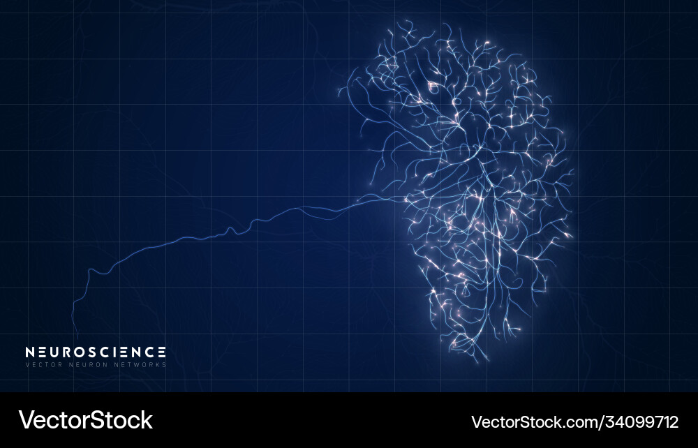 Complex Neural Network Model vector image
