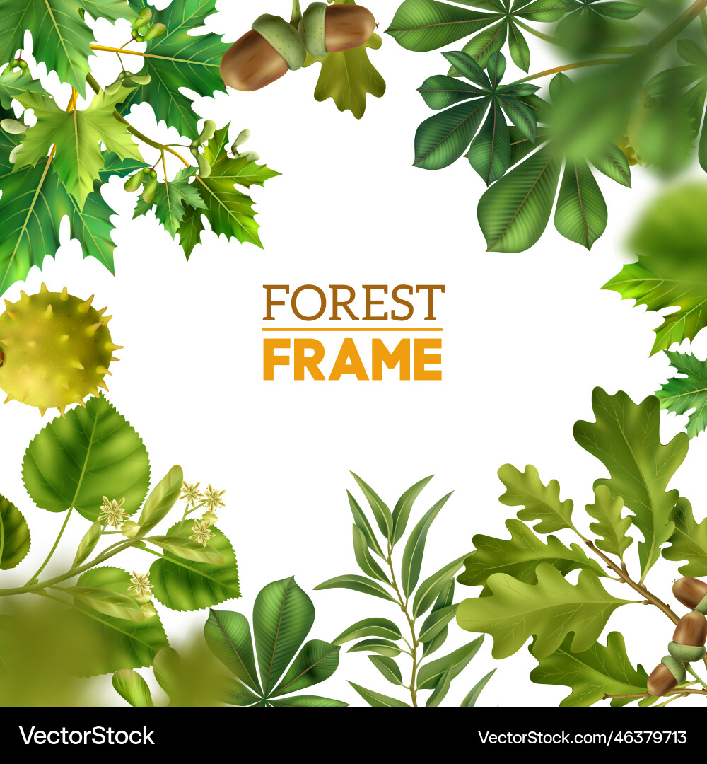 Deciduous Tree Branch Frame vector image
