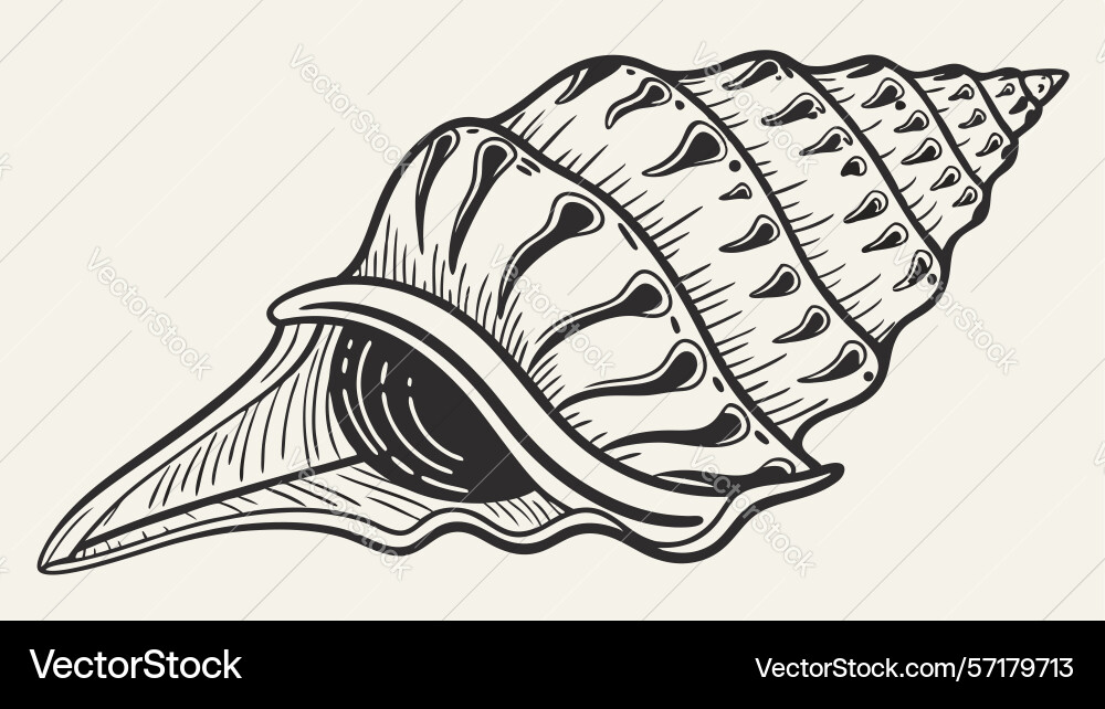 Ornate seashell conch design generative ai Vector Image
