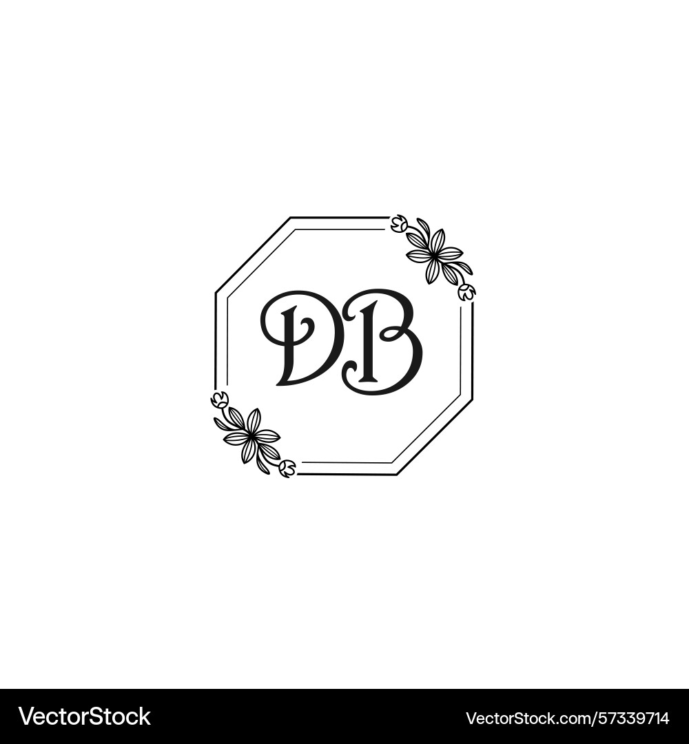 Classic floral monogram db with elegant frame Vector Image