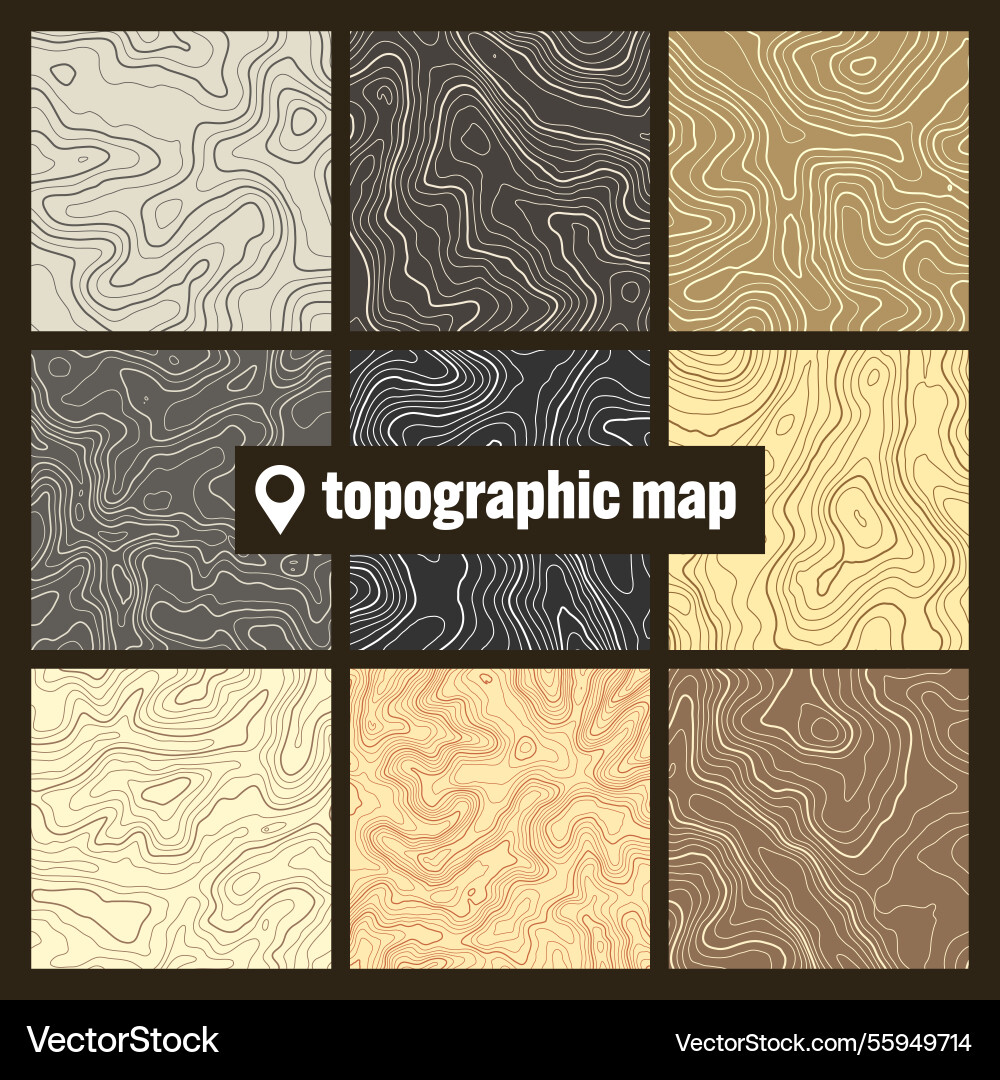 Colorful topographic map with contour lines Vector Image