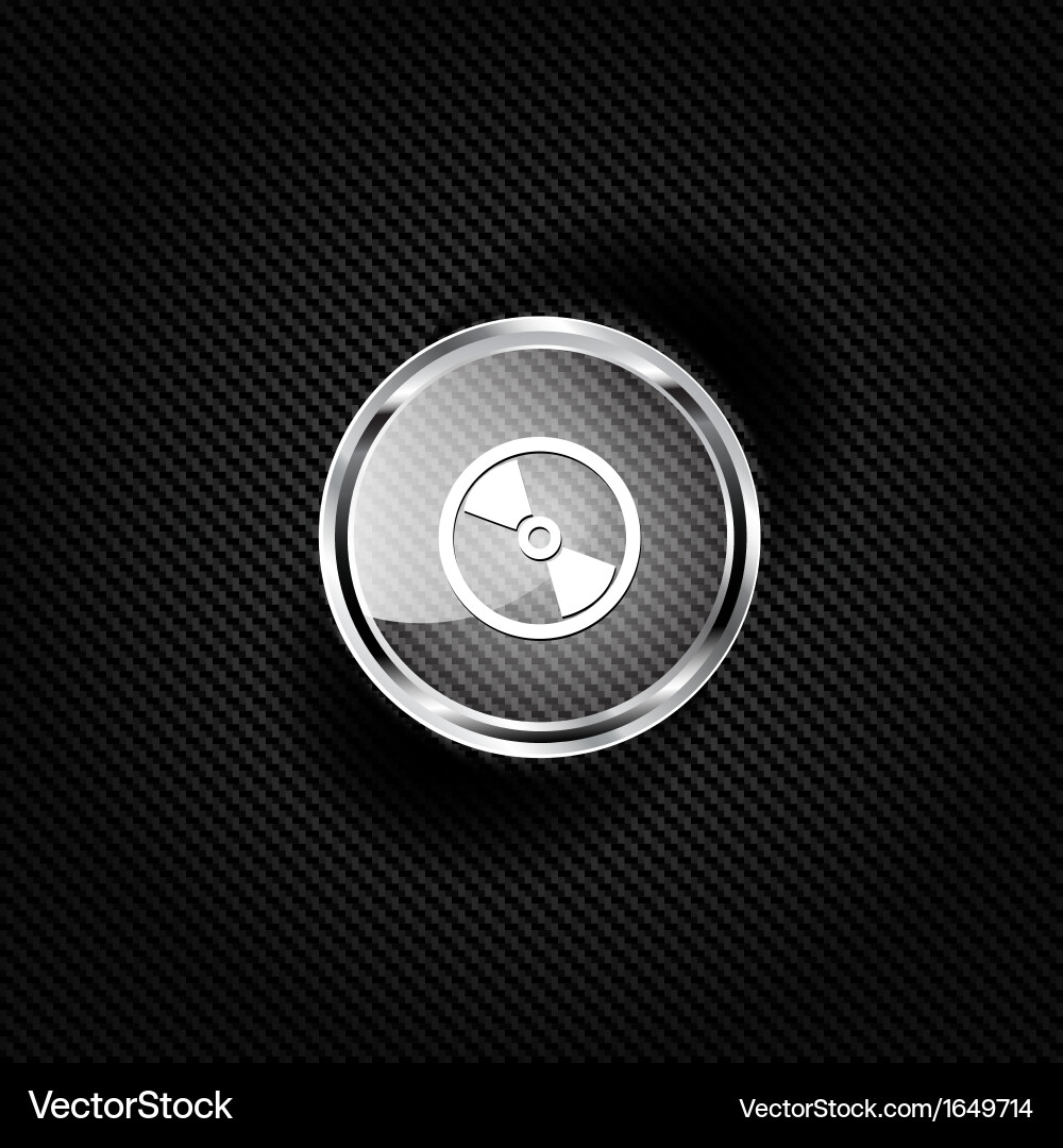 Compact disk web icon vector image