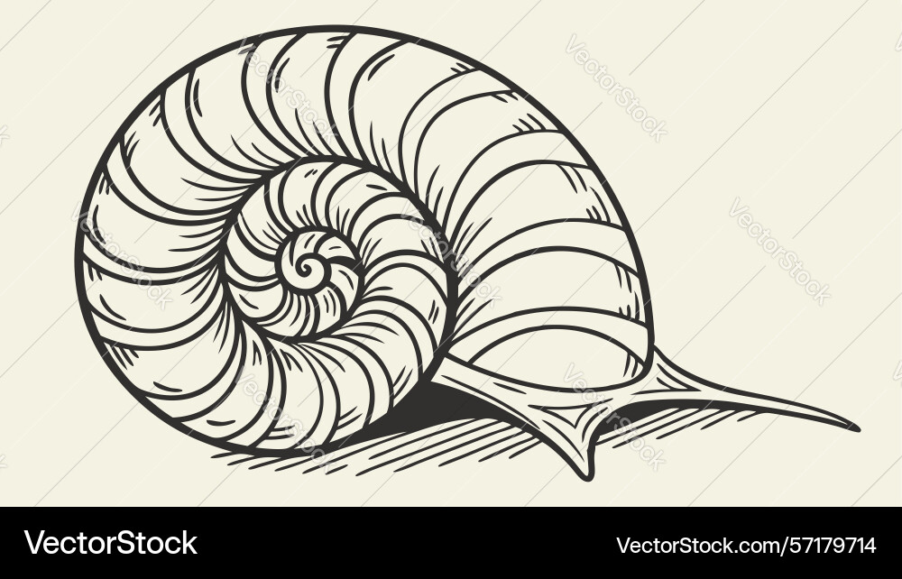Detailed snail shell design generative ai vector image
