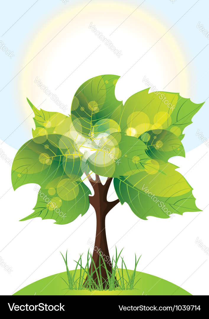 Tree with lush green foliage sunny day Vector Image