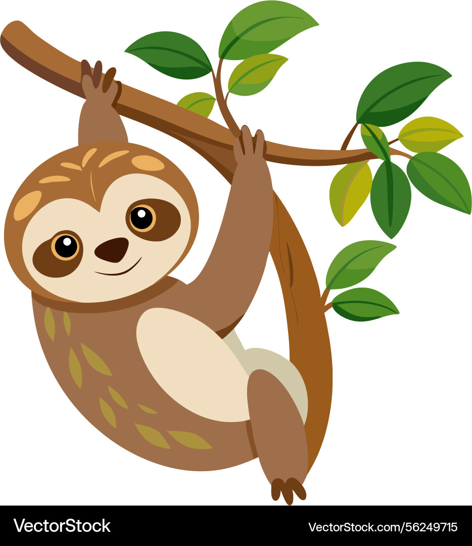 Smiling sloth hanging on a branch Vector Image