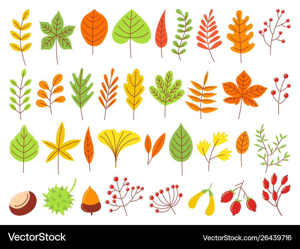 Bunte Herbstblätter Herbstgelb Blatt Bunte Herbstblätter Herbstgelb Blatt vektorbild