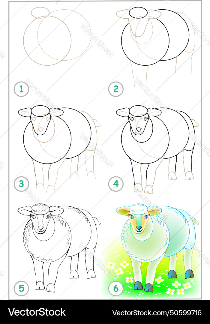 Page shows how to learn step by draw Vector Image