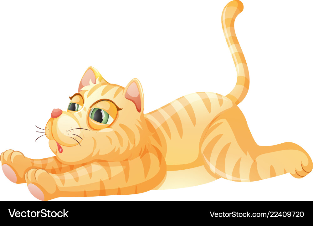 A lazy cat on white background Vector Image