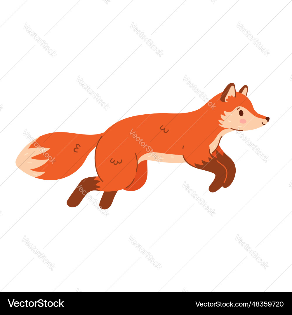 Cute cartoon fox running isolate on white Vector Image
