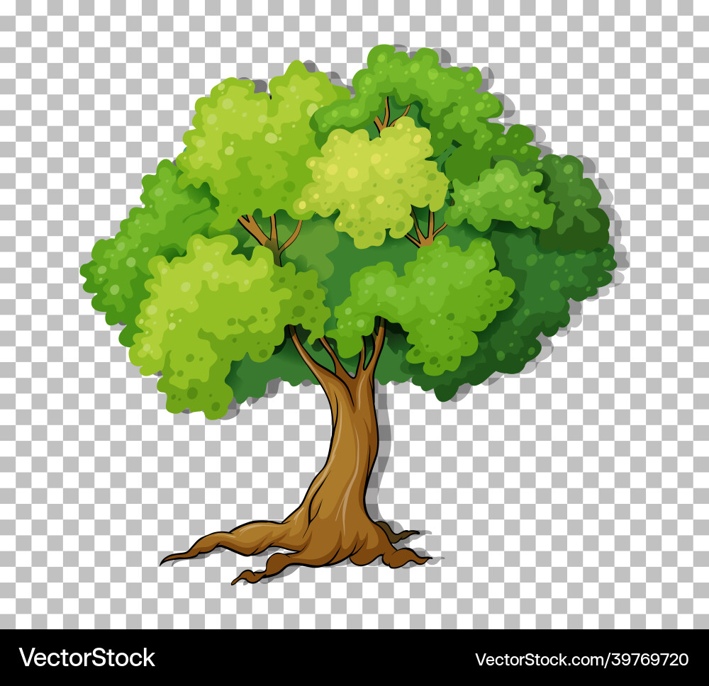 Tree on transparent background vector image