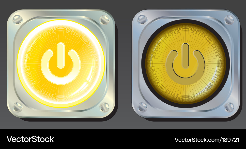 Toggle Button Icon vector image