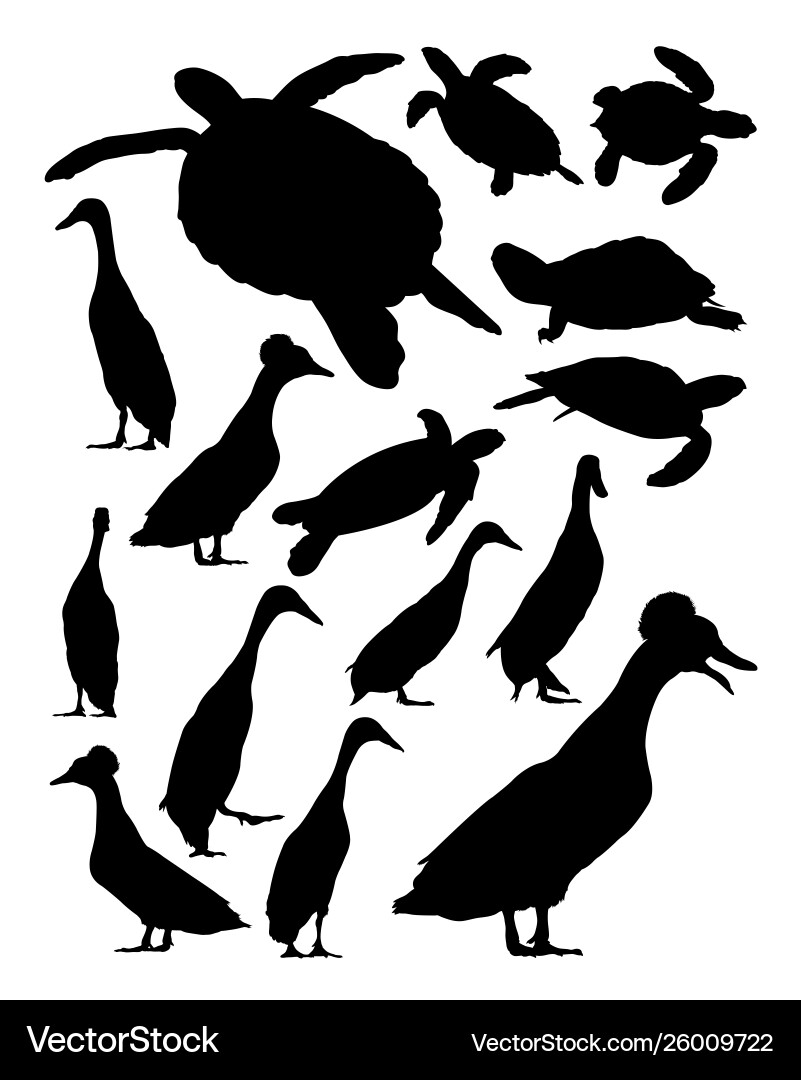 Duck and Turtle Silhouettes Vector Image