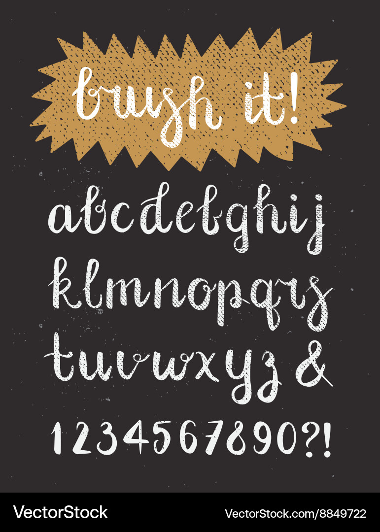 Hand Drawn Calligraphy Brush Script Font Vector Image