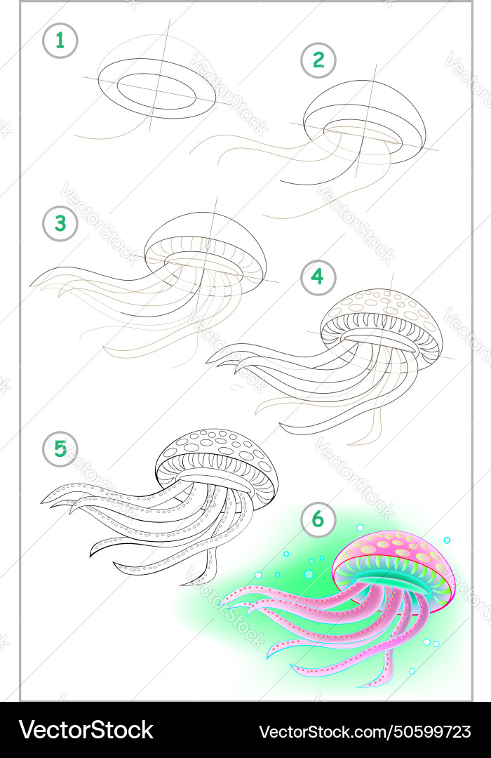 Page shows how to learn step by draw Page shows how to learn step by draw vector image