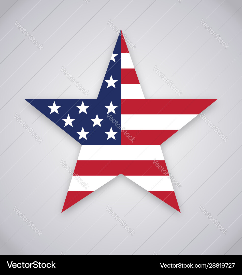 American Flag Star Symbol Vector Image