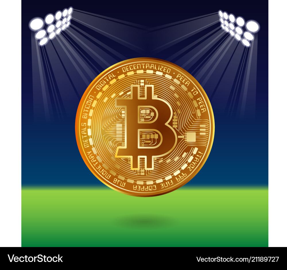 Bitcoin on field vector image